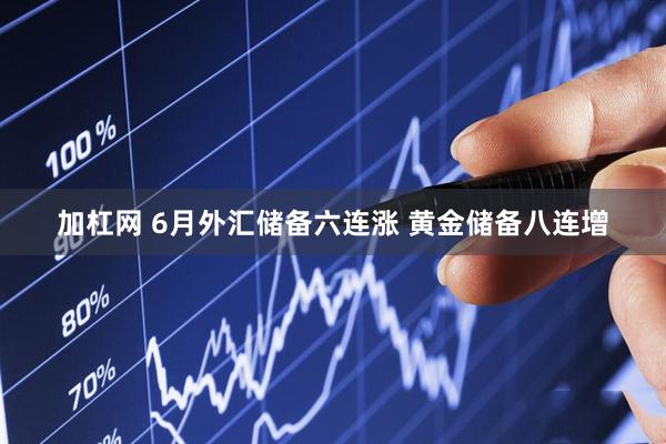 加杠网 6月外汇储备六连涨 黄金储备八连增
