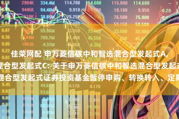 佳荣网配 申万菱信碳中和智选混合型发起式A,申万菱信碳中和智选混合型发起式C: 关于申万菱信碳中和智选混合型发起式证券投资基金暂停申购、转换转入、定期定额投资的公告