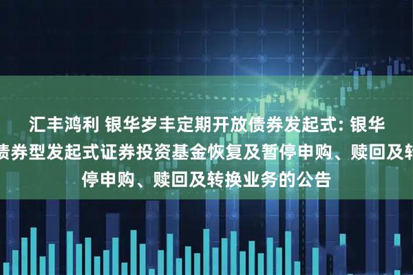 汇丰鸿利 银华岁丰定期开放债券发起式: 银华岁丰定期开放债券型发起式证券投资基金恢复及暂停申购、赎回及转换业务的公告