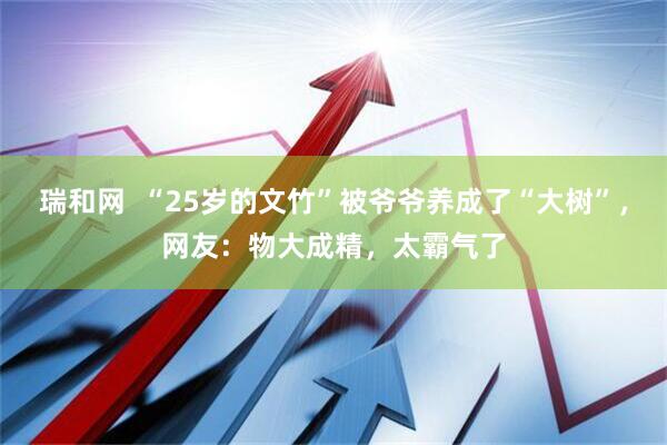 瑞和网  “25岁的文竹”被爷爷养成了“大树”，网友：物大成精，太霸气了