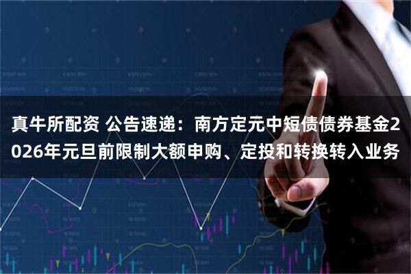 真牛所配资 公告速递：南方定元中短债债券基金2026年元旦前限制大额申购、定投和转换转入业务