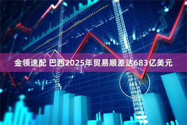 金领速配 巴西2025年贸易顺差达683亿美元