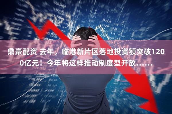 鼎豪配资 去年，临港新片区落地投资额突破1200亿元！今年将这样推动制度型开放……