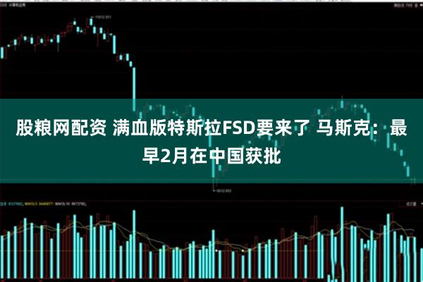 股粮网配资 满血版特斯拉FSD要来了 马斯克：最早2月在中国获批